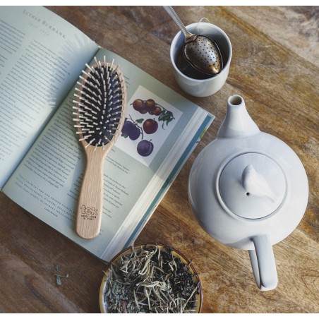 Multipurpose Large Oval Brush with Short Pins