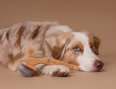 Tek introduces Widu: the new line dedicated to pets