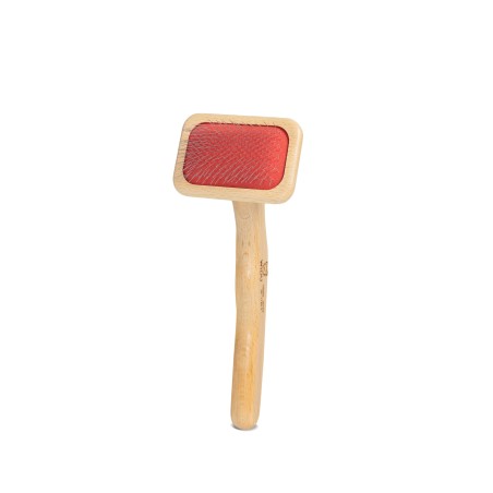 Petite Carde pour Chiens et Chats à Poils Courts | Manche Ergonomique