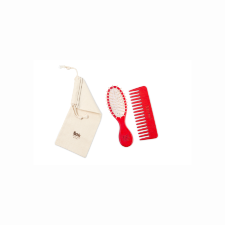 Kit sac à main : petite brosse ovale et peigne rouges avec étui en coton