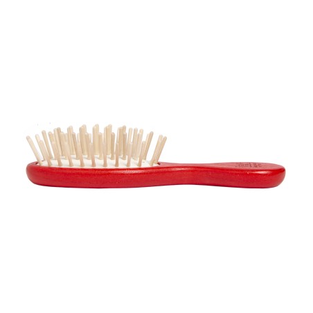 Spazzola Ovale Rossa Formato Mini | Delicata su Cute & Capelli