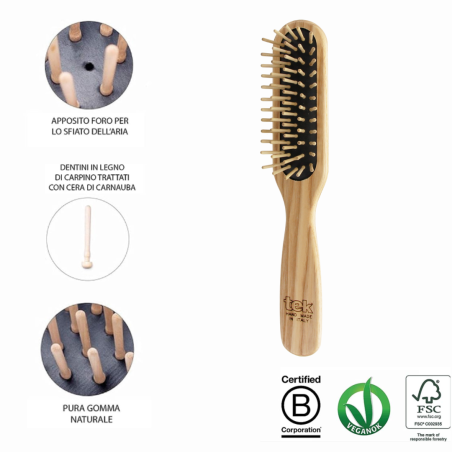 Spazzola Rettangolare con Dente Lungo