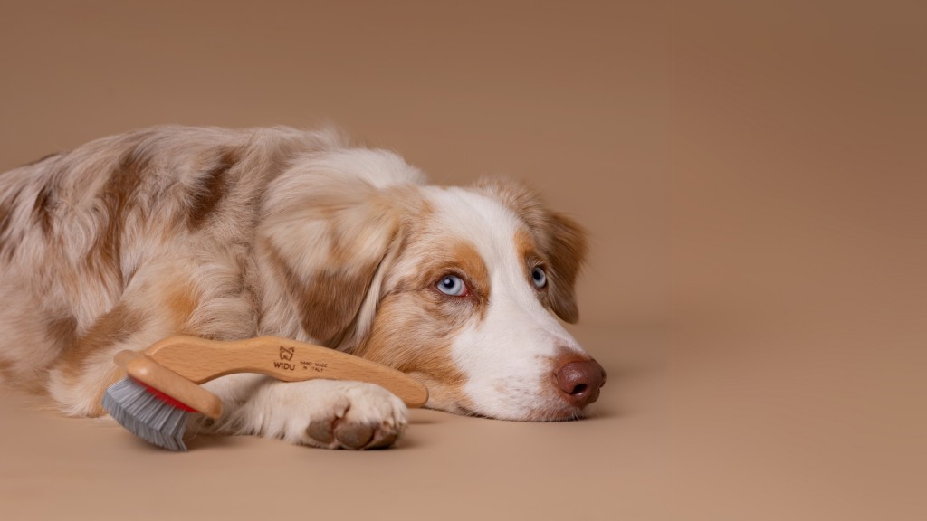 Tek presenta Widu: la nuova linea dedicata agli animali domestici